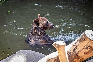 Slavnosti pětilisté růže ®, Český Krumlov, neděle 19. 6. 2022, foto: Lubor Mrázek