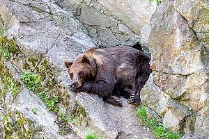 Slavnosti pětilisté růže ®, Český Krumlov, neděle 19. 6. 2022, foto: Lubor Mrázek
