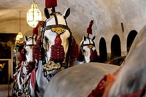 Slavnosti pětilisté růže ®, Český Krumlov, neděle 19. 6. 2022, foto: Lubor Mrázek