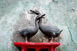 Slavnosti pětilisté růže ®, Český Krumlov, pátek 16. 6. 2023, foto: Lubor Mrázek (123/191)