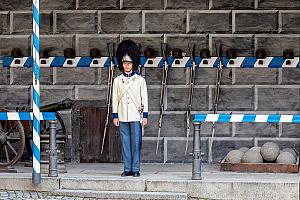 Slavnosti pětilisté růže ®, Český Krumlov, sobota 17. 6. 2023, foto: Lubor Mrázek (2/392)