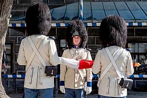 Slavnosti pětilisté růže ®, Český Krumlov, sobota 17. 6. 2023, foto: Lubor Mrázek (10/392)