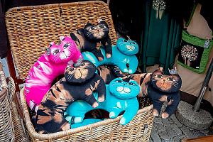 Slavnosti pětilisté růže ®, Český Krumlov, sobota 17. 6. 2023, foto: Lubor Mrázek (66/392)