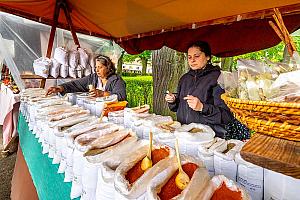 Slavnosti pětilisté růže ®, Český Krumlov, sobota 17. 6. 2023, foto: Lubor Mrázek (76/392)