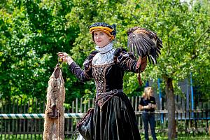 Slavnosti pětilisté růže ®, Český Krumlov, sobota 17. 6. 2023, foto: Lubor Mrázek (91/392)