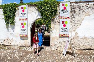 Slavnosti pětilisté růže ®, Český Krumlov, sobota 17. 6. 2023, foto: Lubor Mrázek (98/392)