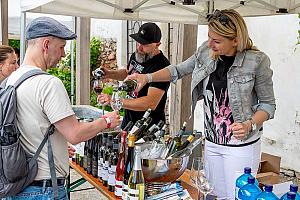 Slavnosti pětilisté růže ®, Český Krumlov, sobota 17. 6. 2023, foto: Lubor Mrázek (102/392)