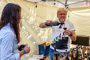 Slavnosti pětilisté růže ®, Český Krumlov, sobota 17. 6. 2023, foto: Lubor Mrázek (114/392)