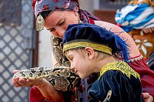 Slavnosti pětilisté růže ®, Český Krumlov, sobota 17. 6. 2023, foto: Lubor Mrázek (134/392)