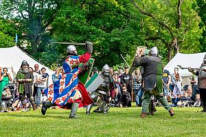 Slavnosti pětilisté růže ®, Český Krumlov, sobota 17. 6. 2023, foto: Lubor Mrázek (286/392)