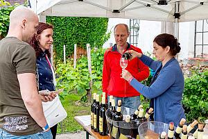 Slavnosti pětilisté růže ®, Český Krumlov, sobota 17. 6. 2023, foto: Lubor Mrázek (310/392)