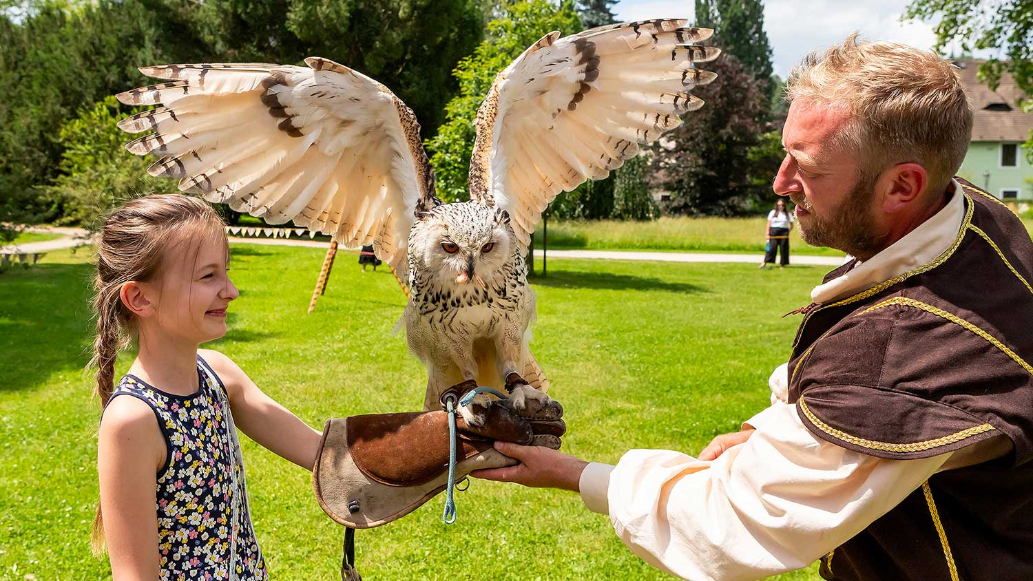 Falknereihof Landstein - Ausstellung von Falknerei, Greifvögeln und Eulen sowie Flugvorführungen