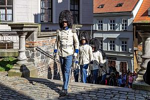 Fest der Fünfblättrigen Rose ®, Český Krumlov, Samstag 21. 6. 2025, Foto: Lubor Mrázek (16/307)