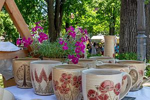 Fest der Fünfblättrigen Rose ®, Český Krumlov, Samstag 21. 6. 2025, Foto: Lubor Mrázek (27/307)