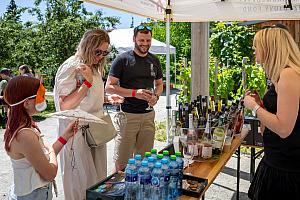 Fest der Fünfblättrigen Rose ®, Český Krumlov, Samstag 21. 6. 2025, Foto: Lubor Mrázek (87/307)