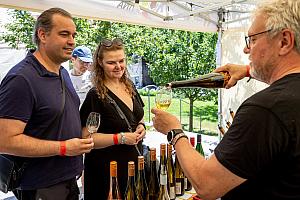 Fest der Fünfblättrigen Rose ®, Český Krumlov, Samstag 21. 6. 2025, Foto: Lubor Mrázek (91/307)