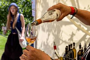 Fest der Fünfblättrigen Rose ®, Český Krumlov, Samstag 21. 6. 2025, Foto: Lubor Mrázek (92/307)