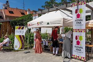 Slavnosti pětilisté růže Český Krumlov, sobota 20. 6. 2026, foto: Lubor Mrázek (195/286)
